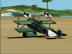 Fokker
            DR1 Dreidecker no.213/17